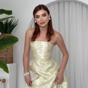 The Dress (needs details)